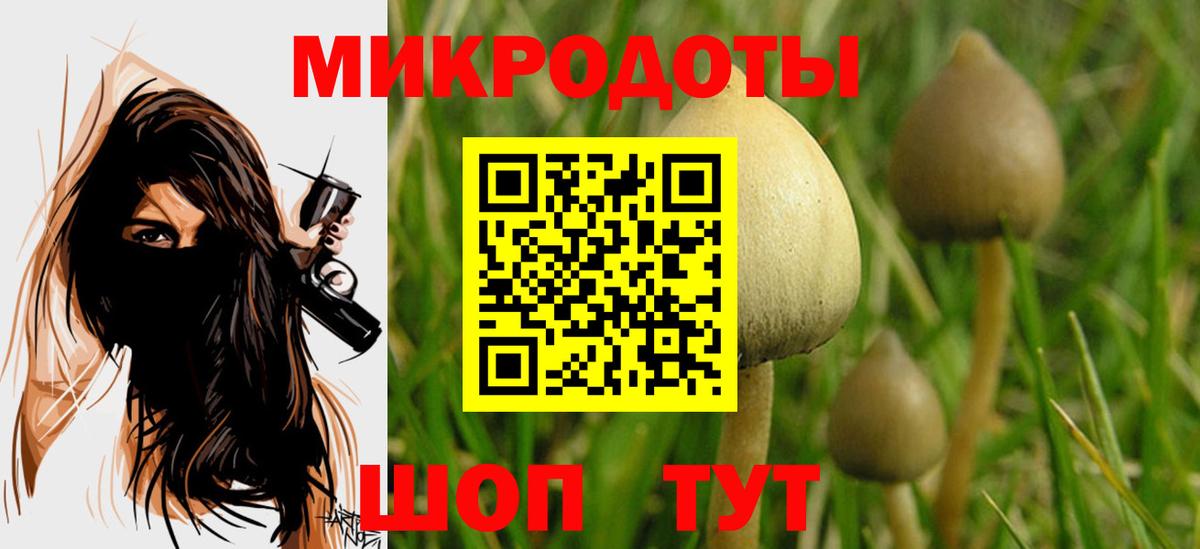 Псилоцибиновые грибы MAGIC MUSHROOMS Мценск
